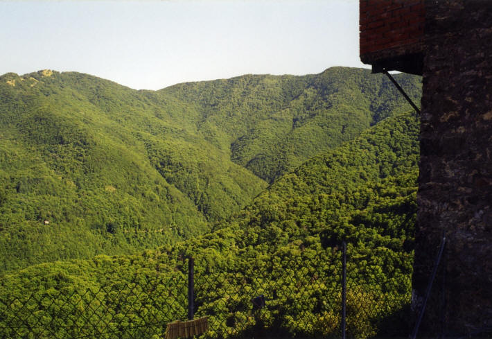 12 Vista dal giardino dell' appartamento Armonia.jpg